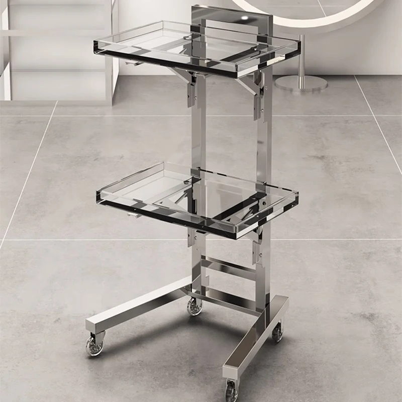 Stainless Beauty Salon Trolley Medical Cleaning Makeup Utility Salon Trolley Tattoo Carrito Auxiliar Salon Furniture BL50ST