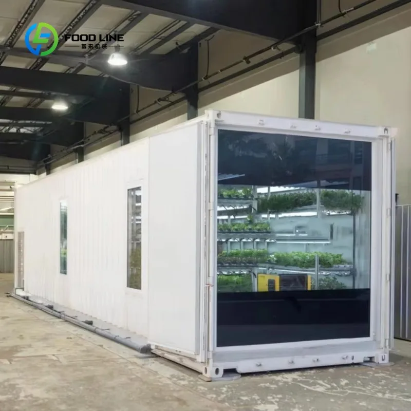 Customized 40ft Commercial Shipping Container Hydroponic Farm Vertical Greenhouse System For Lettuce