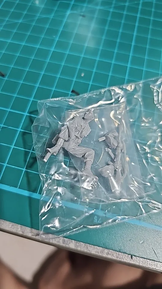 Buyer photo of this resin kit