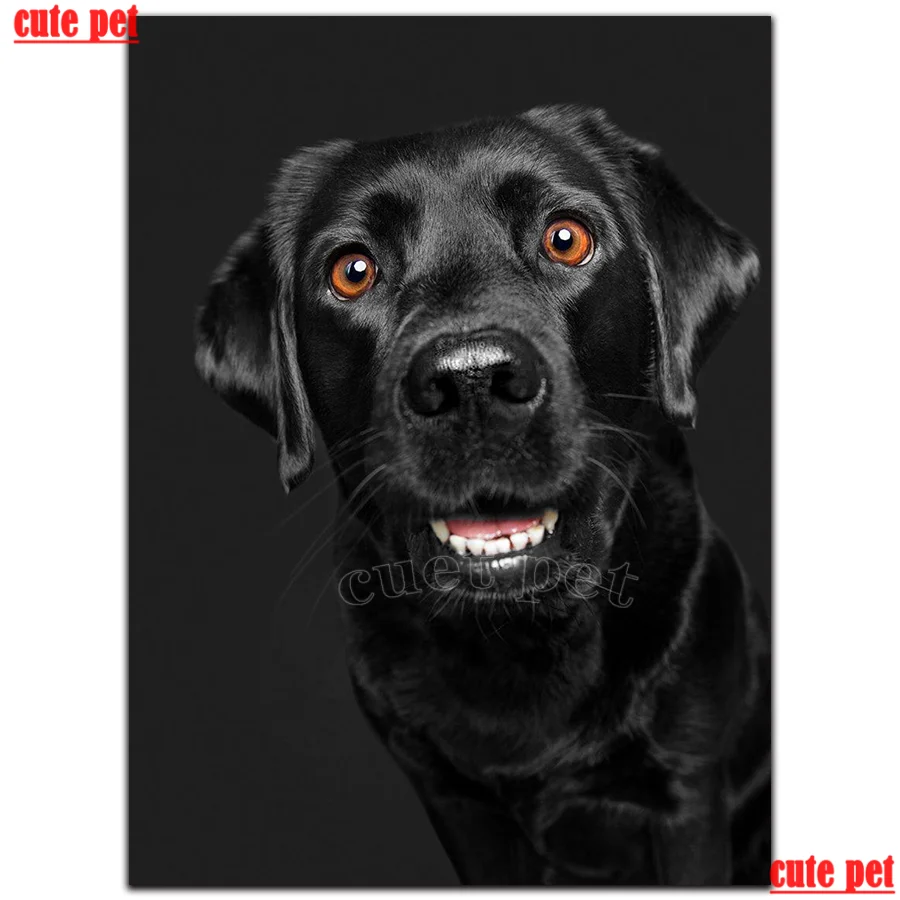 

DIY Diamond Painting dog Black labrador retriever animal Hot selling home art cross stitch full diamond embroidery mosaic decor