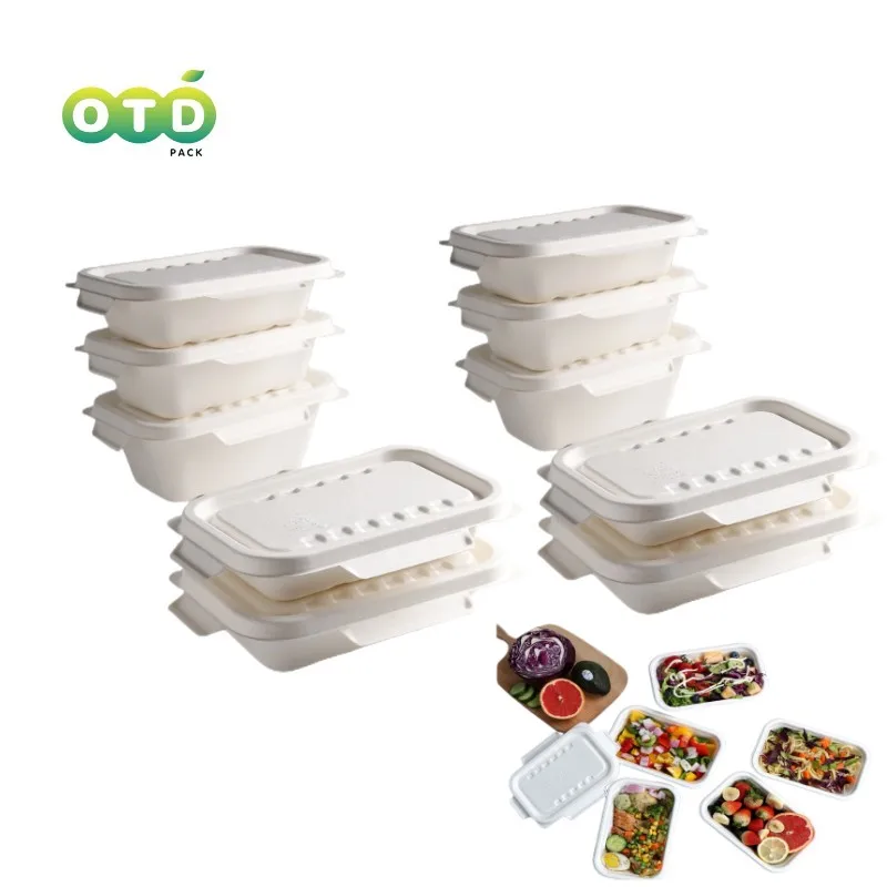 Sugarcane Bagasse Compostable Rectangle Container with 2 Lids Sushi Disposable Meal Prep Takeout Box Food Tray