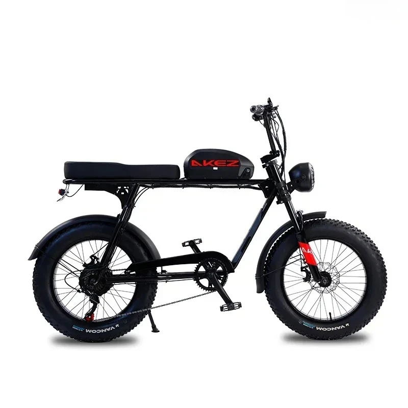 Electric Mountain Bicycle with Removable Battery, E-bike, Fat Tire, 20 in x 4.0 in, 48V, 18Ah, 1500W Motor, Liquid Crystal Displ