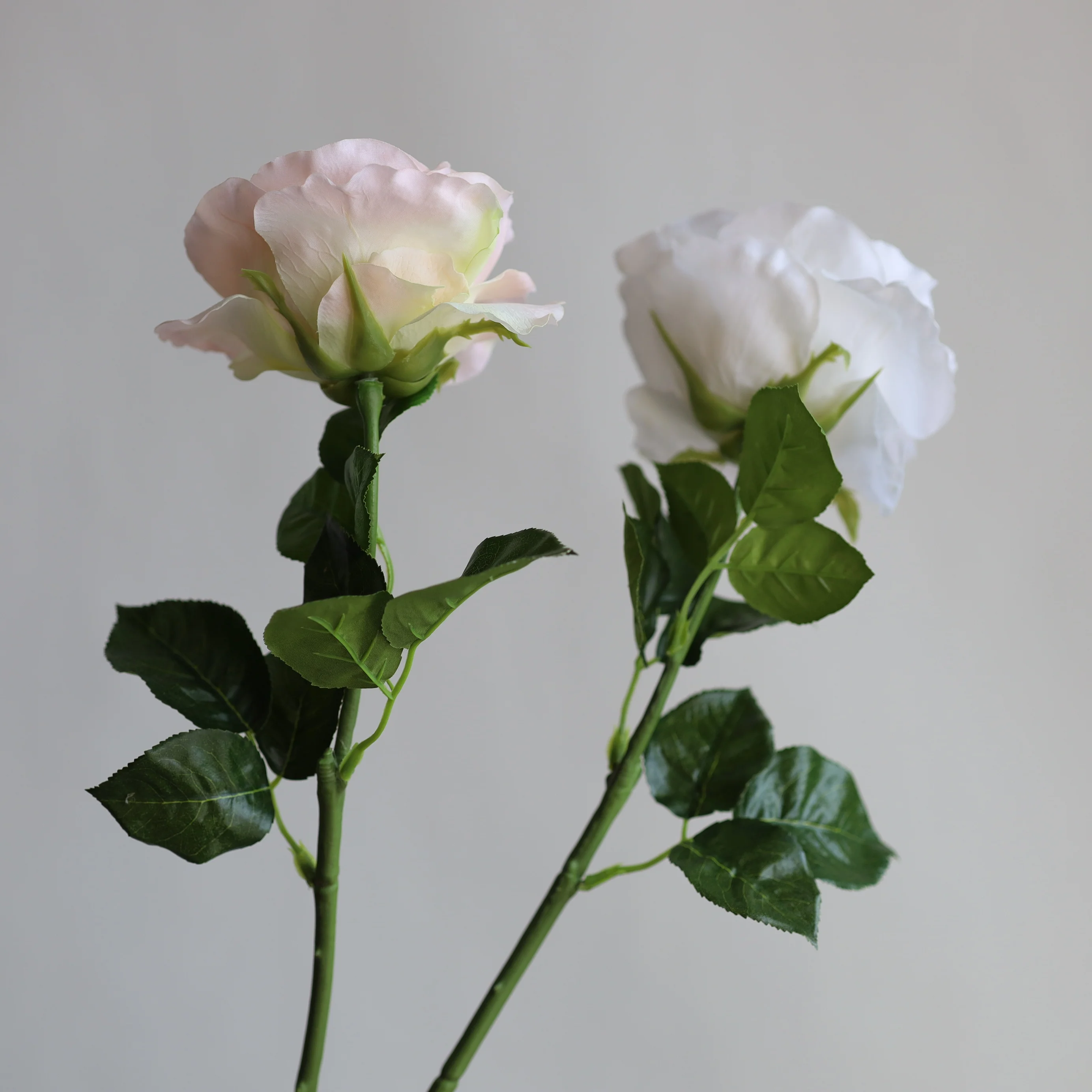 21.6” Fake Large Real Touch English Cabbage Roses-White/Champagne, Realistic Fake Flowers, DIY Florals |Wedding/Home Decorations