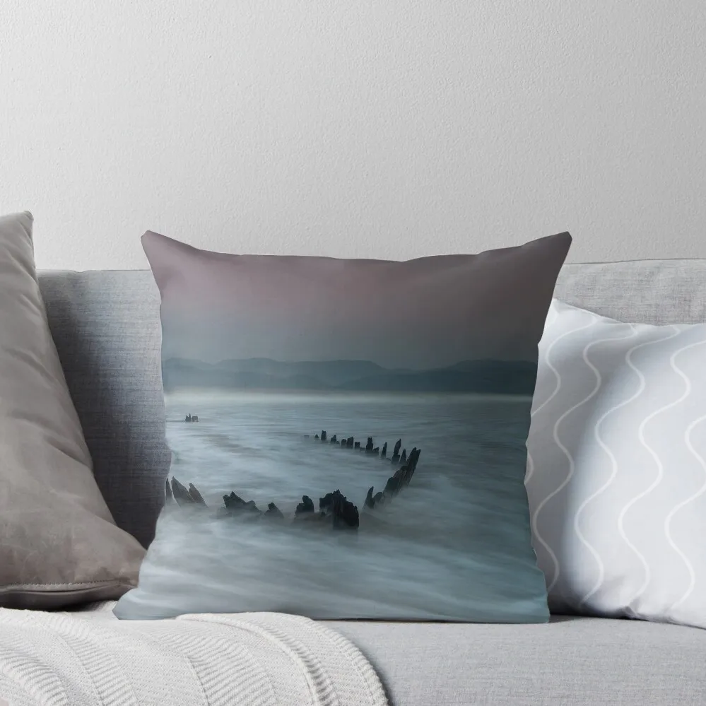 Sunbeam Wreck on a Dewy Morning Throw Pillow Pillow Decor Sitting Cushion pillow