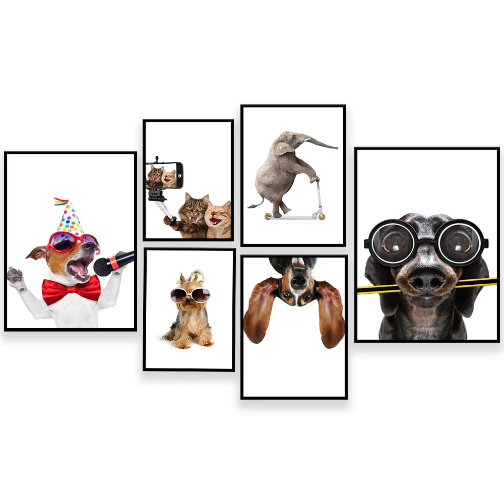

Funny animal prints, dog, cat selfie poster, safari, funny giraffe, elephant kids bedroom poster home decor
