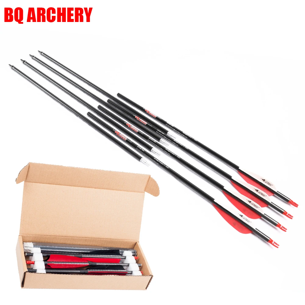 

Pocket Carbon Arrows, 3-Take-Down, 2-Take-Down Spine500 Vanes/Turkey, 100GR Tips Compound, Traditional Bow, Archery Hunting, 6Pc