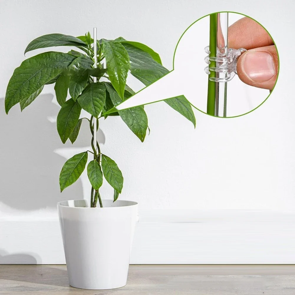 Transparent Plant Supports Plant Support Stakes Indoor Outdoor Use Two Size Options Versatile Plant Support 40 Cm Garden Use