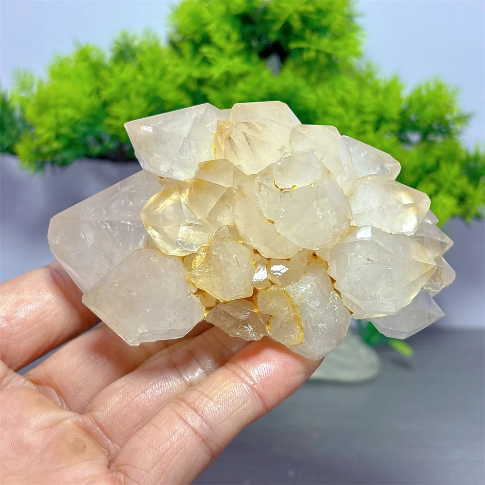

Lotus Backbone Clear Quartz Cluster Specimen Raw Natural Crystal Home Decoritems Room decor Luck Quartz Stone Garden Healing