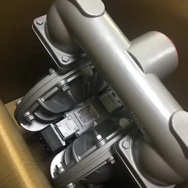 S30 Standard DN80 316SS Pompa di aspirazione dei fanghi/Pompa di sollevamento dei fanghi/Pompa per olio pesante Pompa di trasferimento dell'acido acetico Pompa solvente