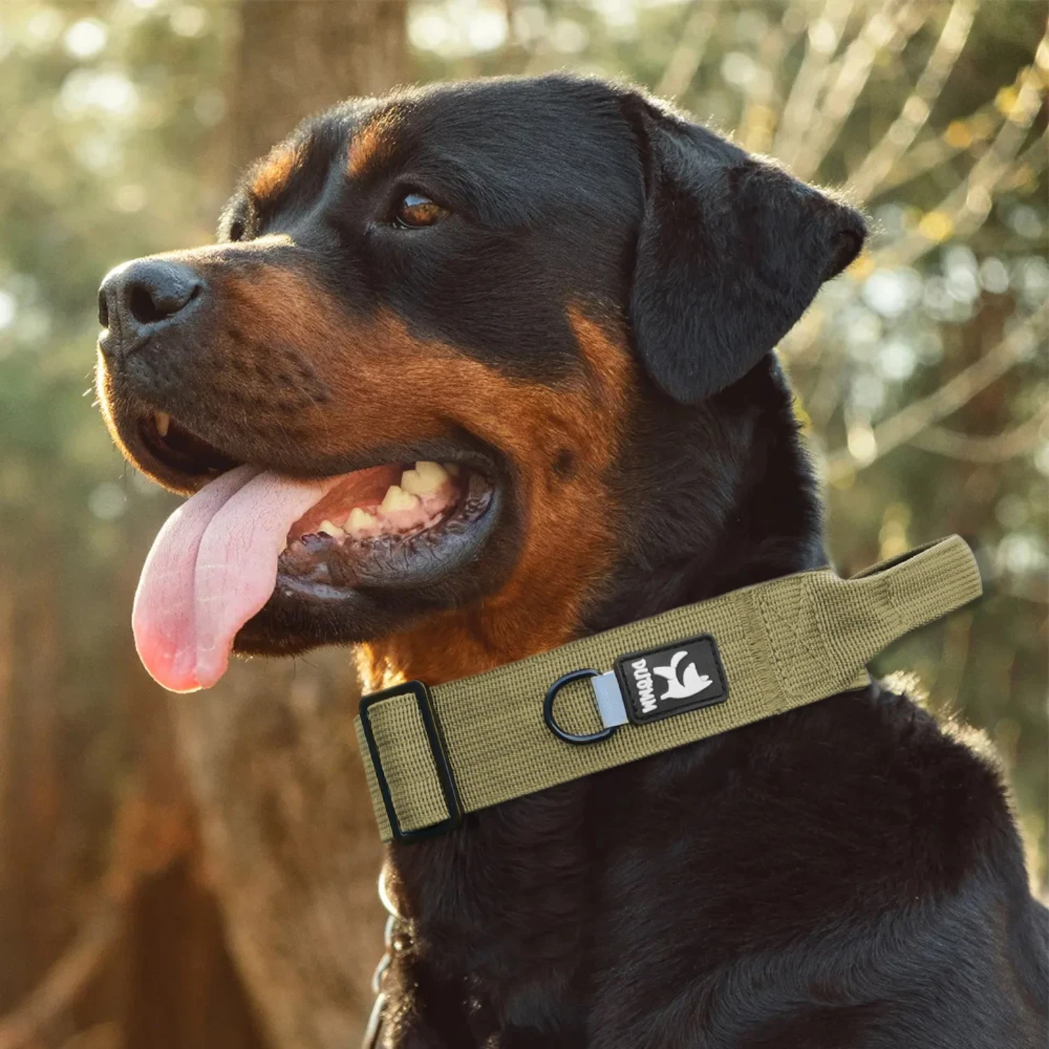 Stylish, durable, and adjustable military tactical nylon dog collar - ideal for active Pitbulls. The perfect accessory for your 