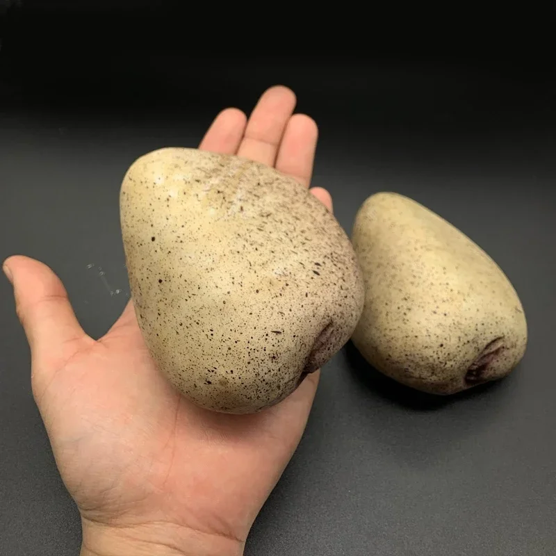 1PC Advanced Simulated Stones Reallty Stone Private Money Box Garden Hidden Safe Valuables Storage Jewellery Key Box