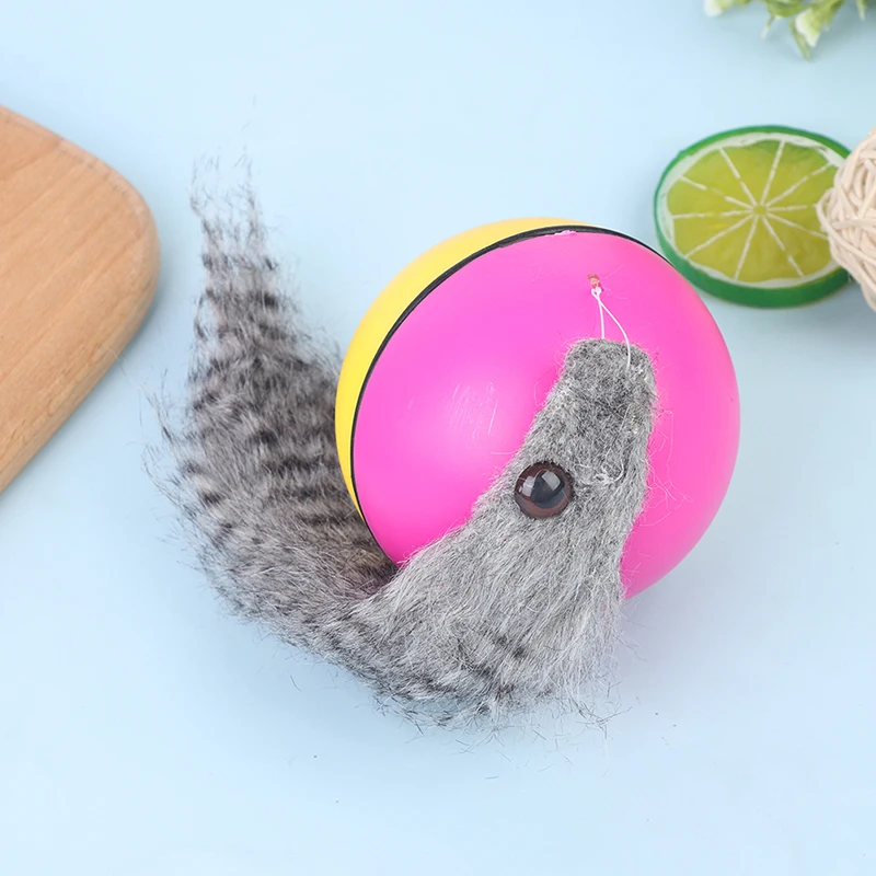 

Pet Dog Cat Toy Weasel Funny Rolling Ball Beaver Balls pet toys cat