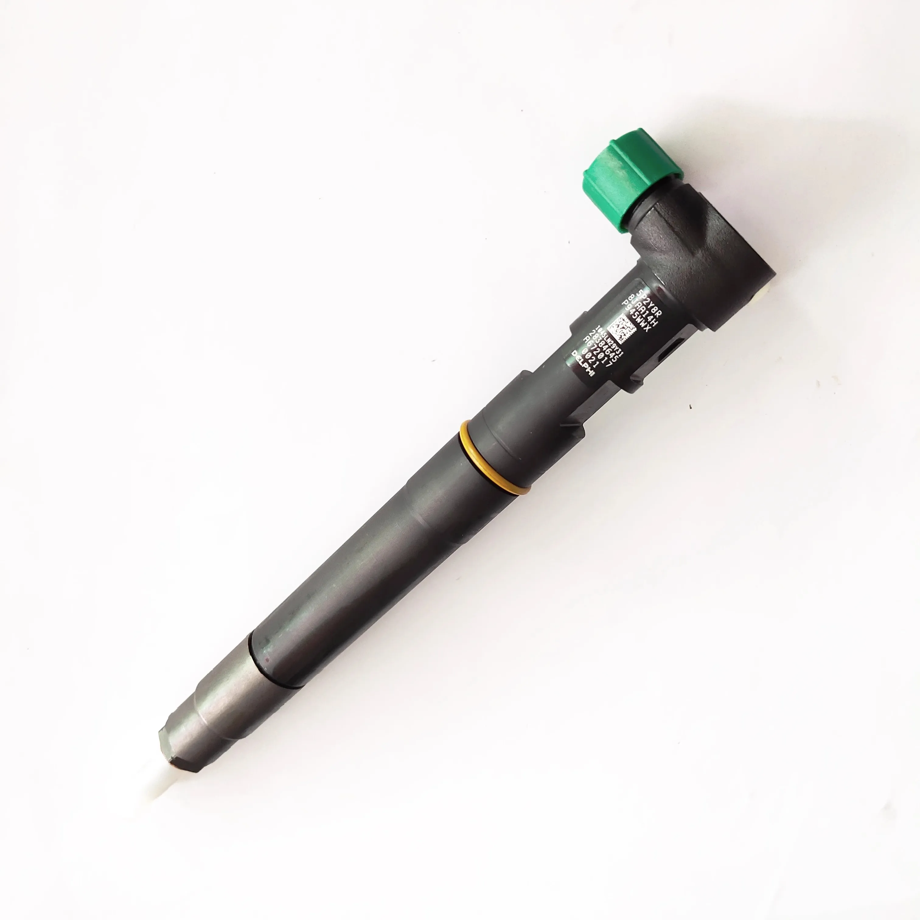 28384645 Common Rai…