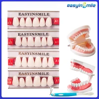 16/12 juegos/caja dentadura Dental dientes superior Anterior inferior Dentier dientes A2 A3 polímero sintético modelo de educación Dental