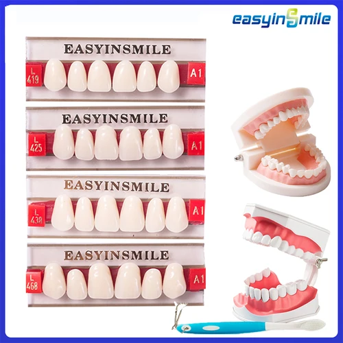 16/12 juegos/caja dentadura Dental dientes superior Anterior inferior Dentier dientes A2 A3 polímero sintético modelo de educación Dental