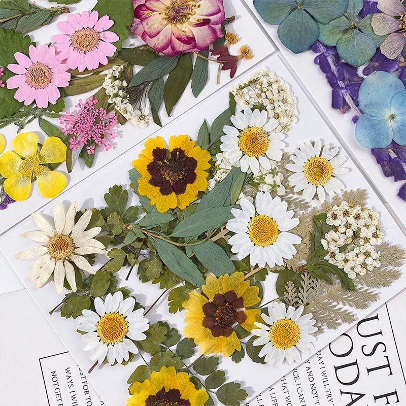 

20PCS Set Pressed Dried Flowers for Resin Jewelry Making Fillings Real Natural Plant Flowers for Nail Art Decorations,Wedding