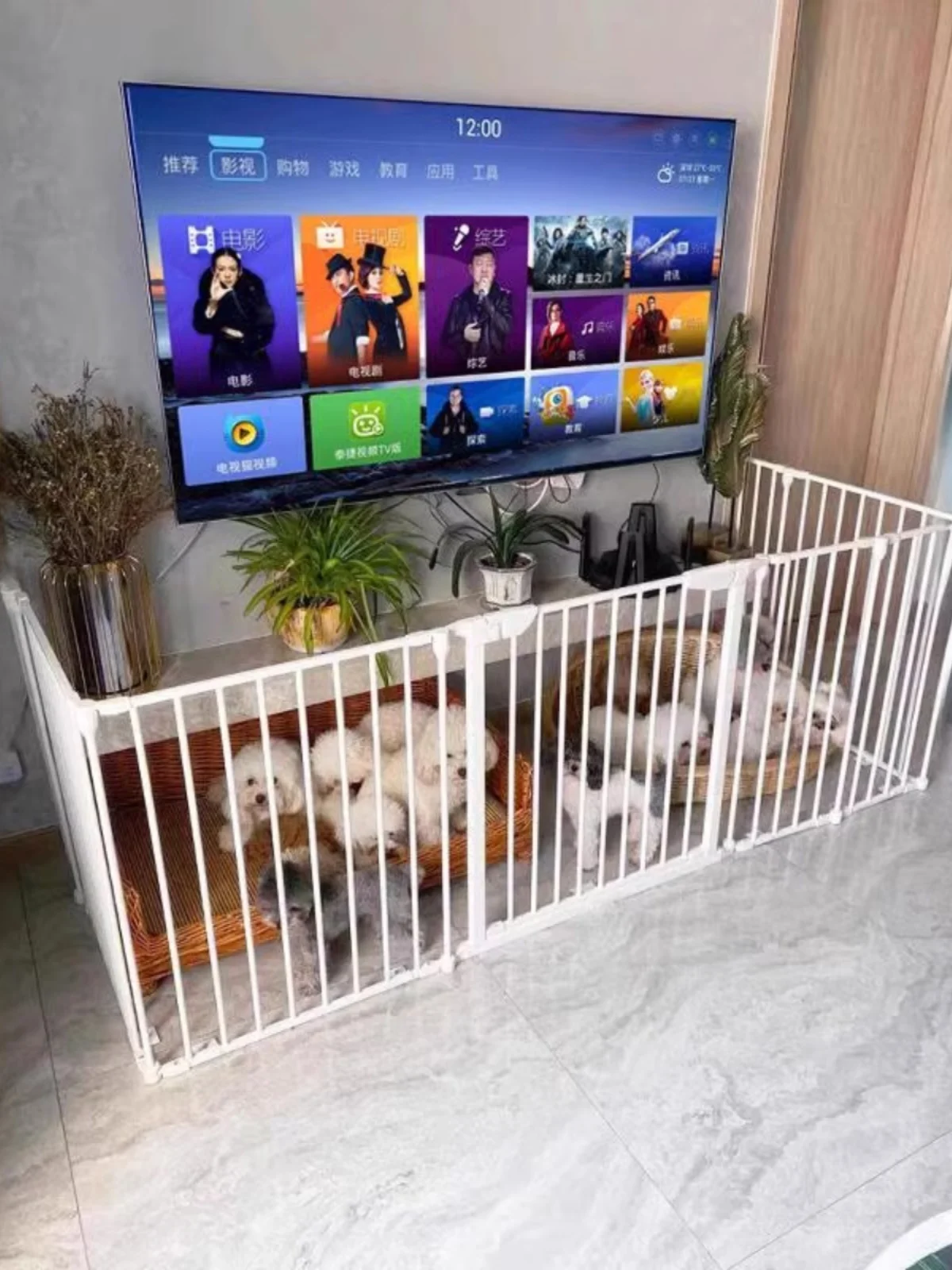 

Pet Store Isolation Door Barrier L-aped U-aped Staircase Mouth Child Se Gate Fence Iron Material Dog Kennel Cage