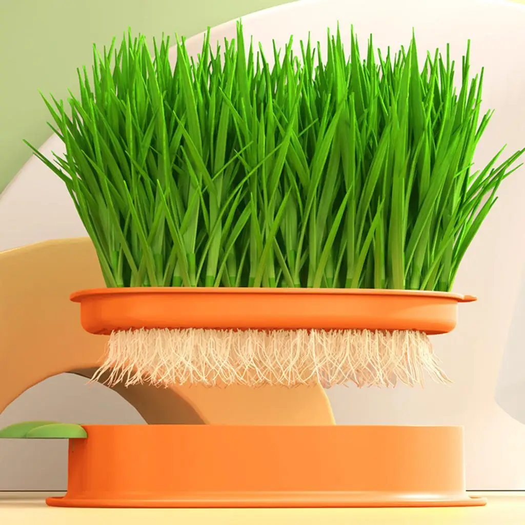Seed Sprouter Tray with Drain Holes Cat Snack Tray Hydroponic Cat Grass Box