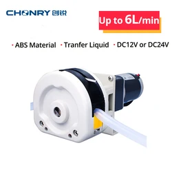 Peristaltic Pump 6L/Min Dosing Pump 12V 24V Water Pump for Liquid Transfer Dosing System Fertigation WaterTreatment OEM208