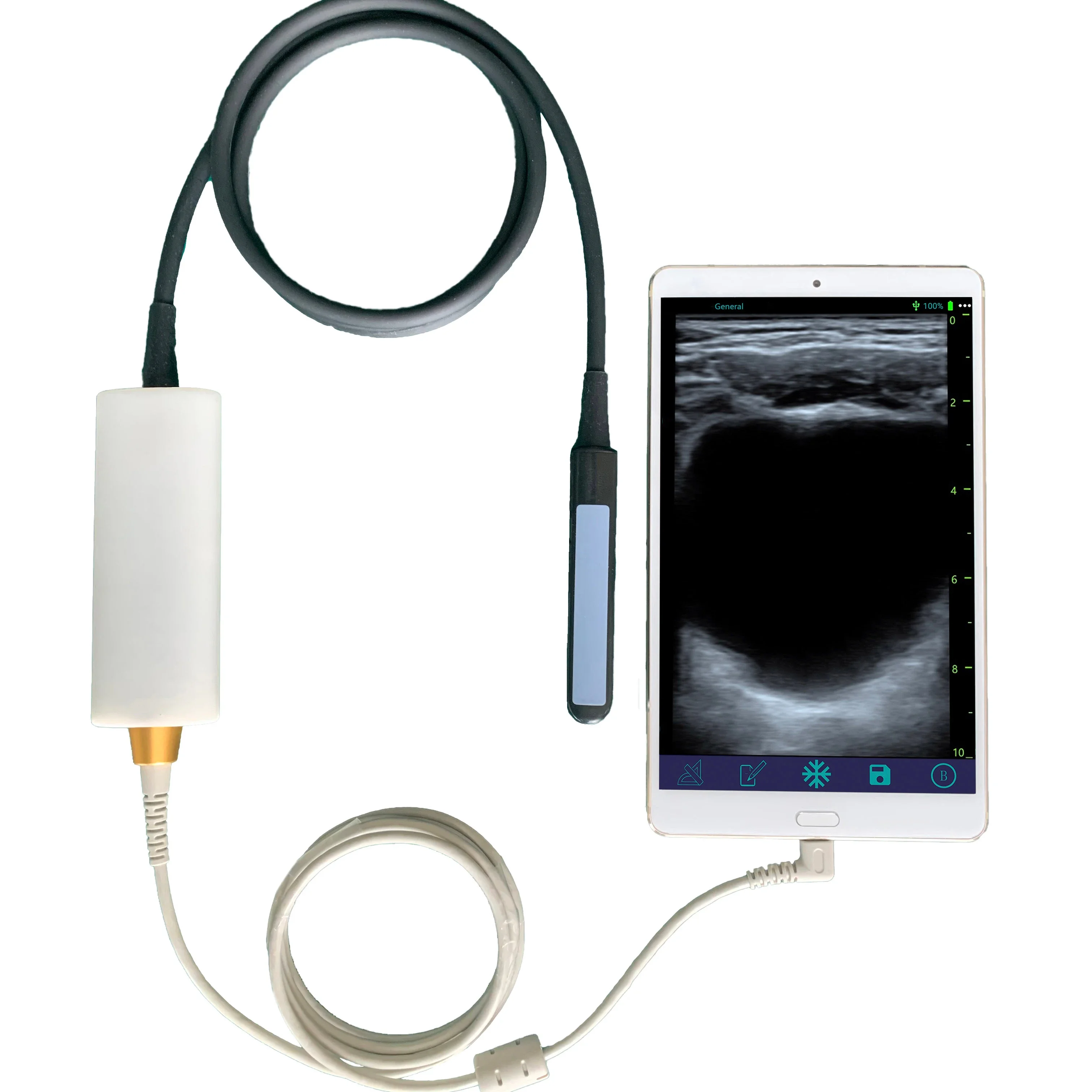 

High resolution rectal probe usb ultrasound veterinary color