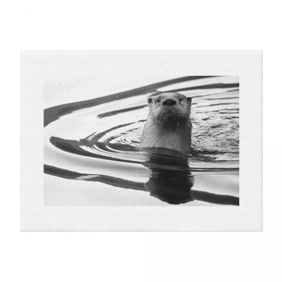 

Otter in the Water Throw Blanket for babies Bed Luxury Throw Decorative Throw Blankets