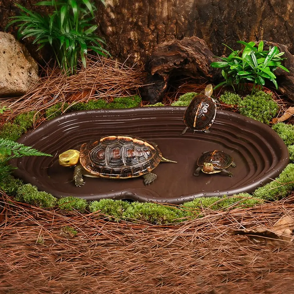 Thumbnail 4 - #57 Trending Reptile Water Bowls Right Now