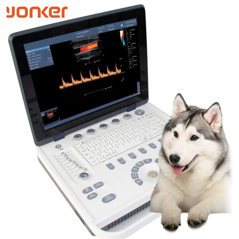 Yonker portable veterinary products instrument medicine scanner laptop veterinary ultrasound machine  for animals