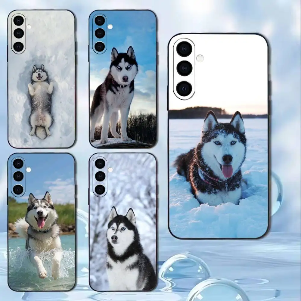 

Husky Phone Case For Samsung Galaxy A20,21s,22,31,32,52,53,72,73,80,91 Soft Black Shell