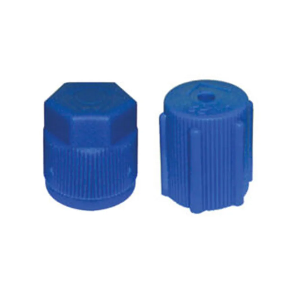 

Replacement A/C Cap and Valve Core Kit Containing 10-Piece Seal Set for Standard Automotive Air Conditioning Systems