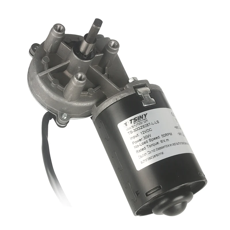 Mini Worm Gear Reducer Motor 30W 50RPM High Torque DC 12V 24V Electric Reversible Right Angle Flat Shaft Mini Motor