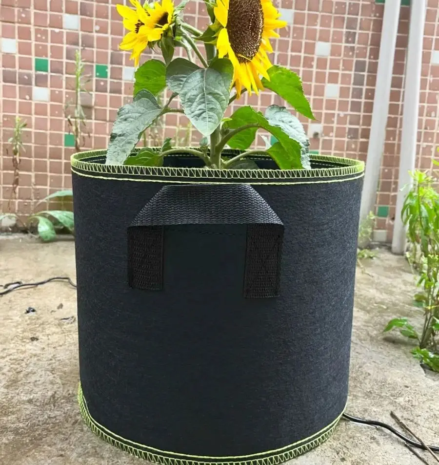 yZ[z܂肽ݎtFg͔|obOASAsDzA؁Ac؁AWKCAAؔA5KA10KA20K