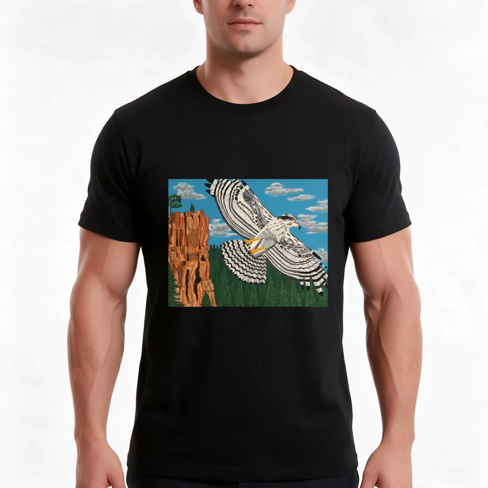 Northern Goshawk soaring over Battleship Rock T-Shirt, Summer Casual Cotton Tee, Oversized Streetwear Tops, Unisex Men Women
