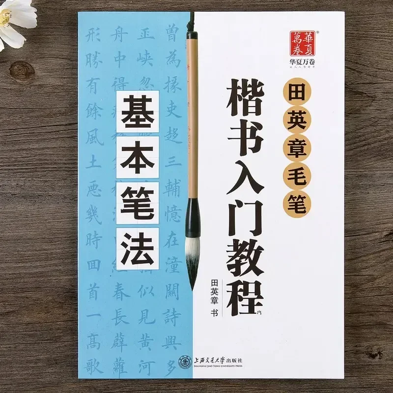 Chinese Calligraphy Book Tian Yingzhang Regular Script Tutorials Copybook