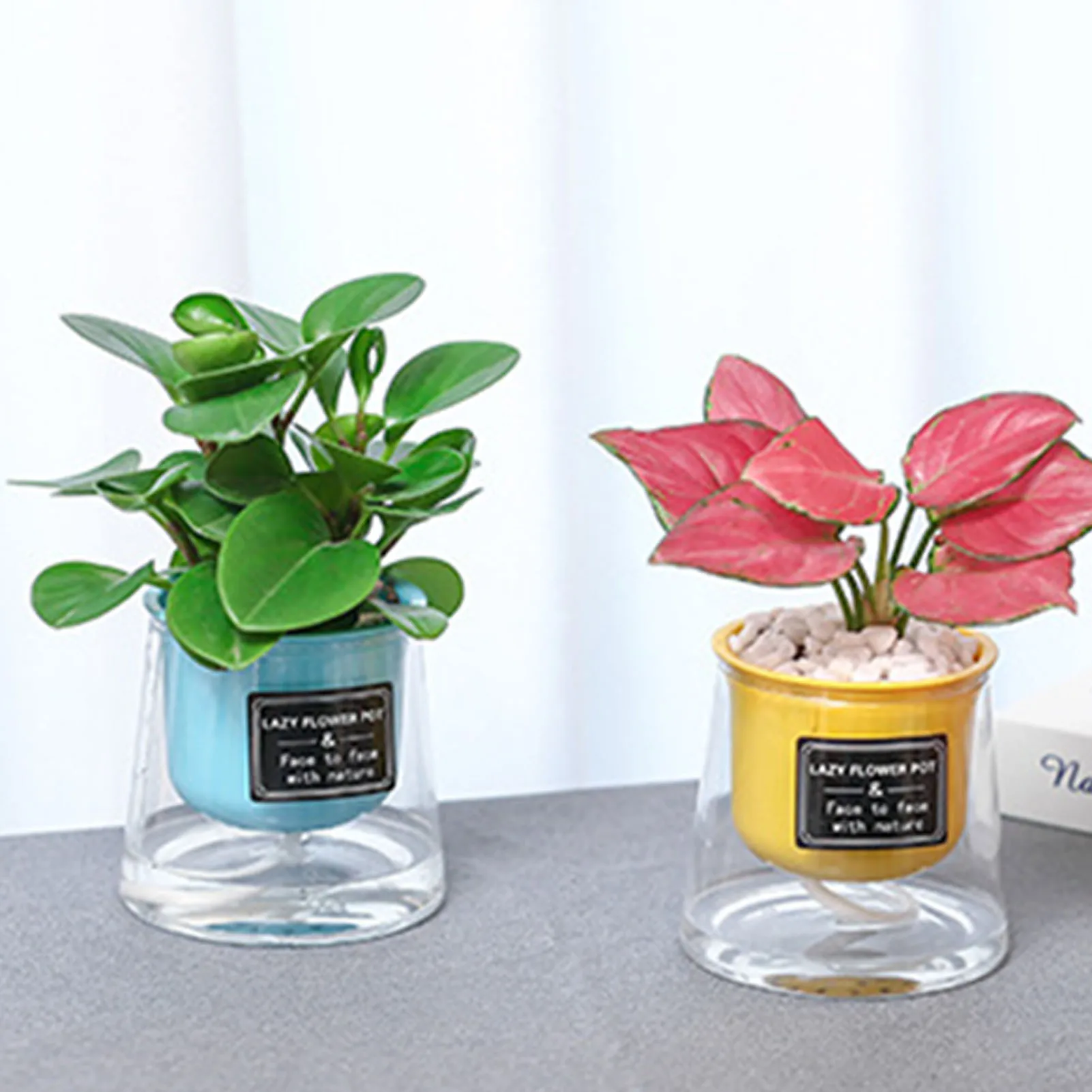 Lazy Hydroponic Flower Pot Automatic Water-Absorbing Flowerpot Transparent Plastic Self Watering Planter Office Desktop Decor