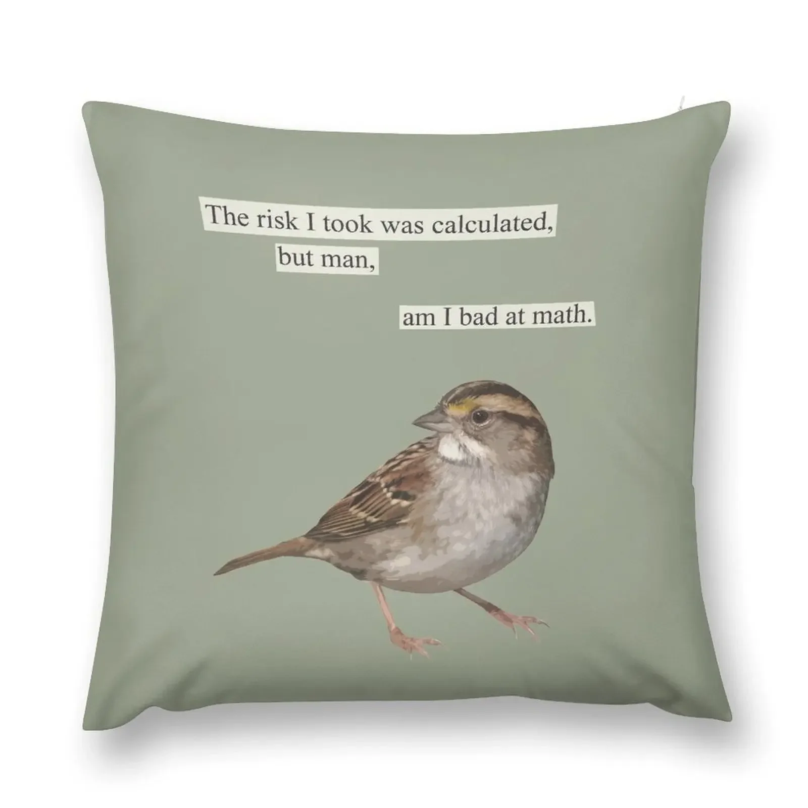 The risk I took was calculated Throw Pillow Pillow Covers Decorative Cushion Child pillow