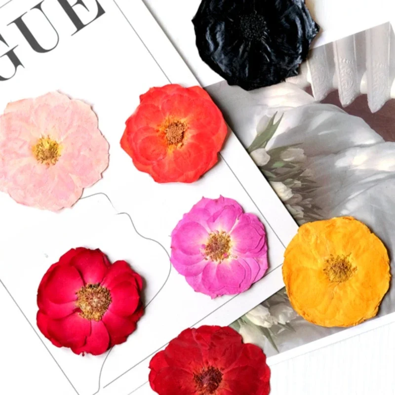 자연 마른 꽃 누르면 장미 진짜 꽃 꽃잎 DIY 사진 프레임 북마크 에폭시 모바일 케이스 축제 용품, 4pcs,3-5cm,5-8cm