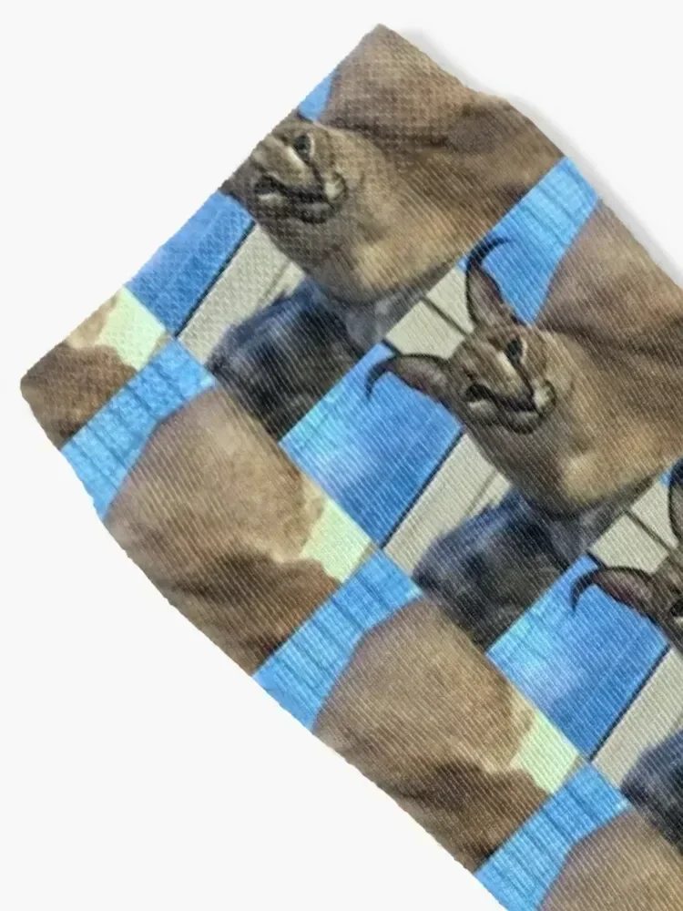 Gregory Floppa Socks Running Lots Heating sock luxury Men's Socks Luxury Women's