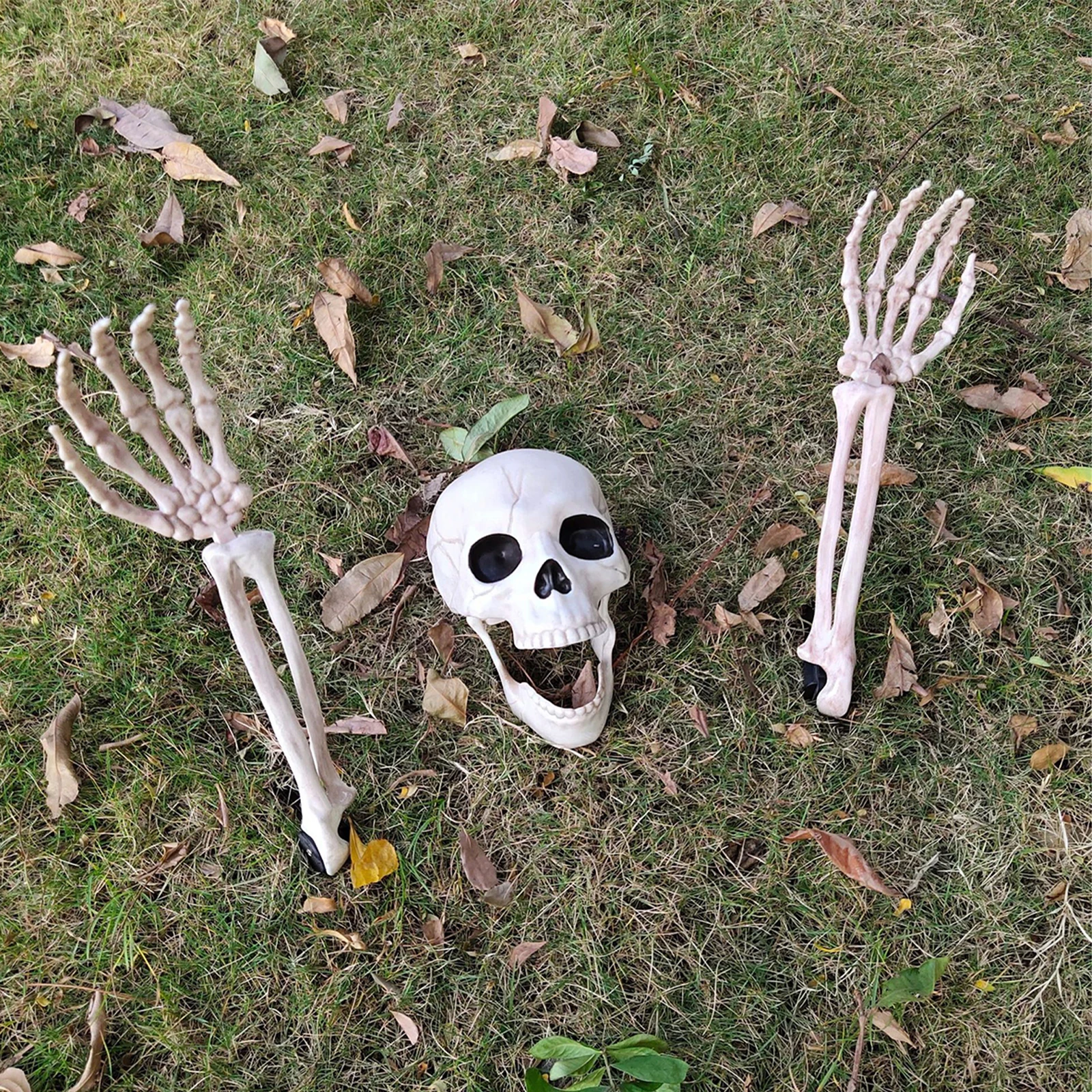 

Set Skull Head Decoration Scary Decorations Props Creepy Atmosphere Hand Bone