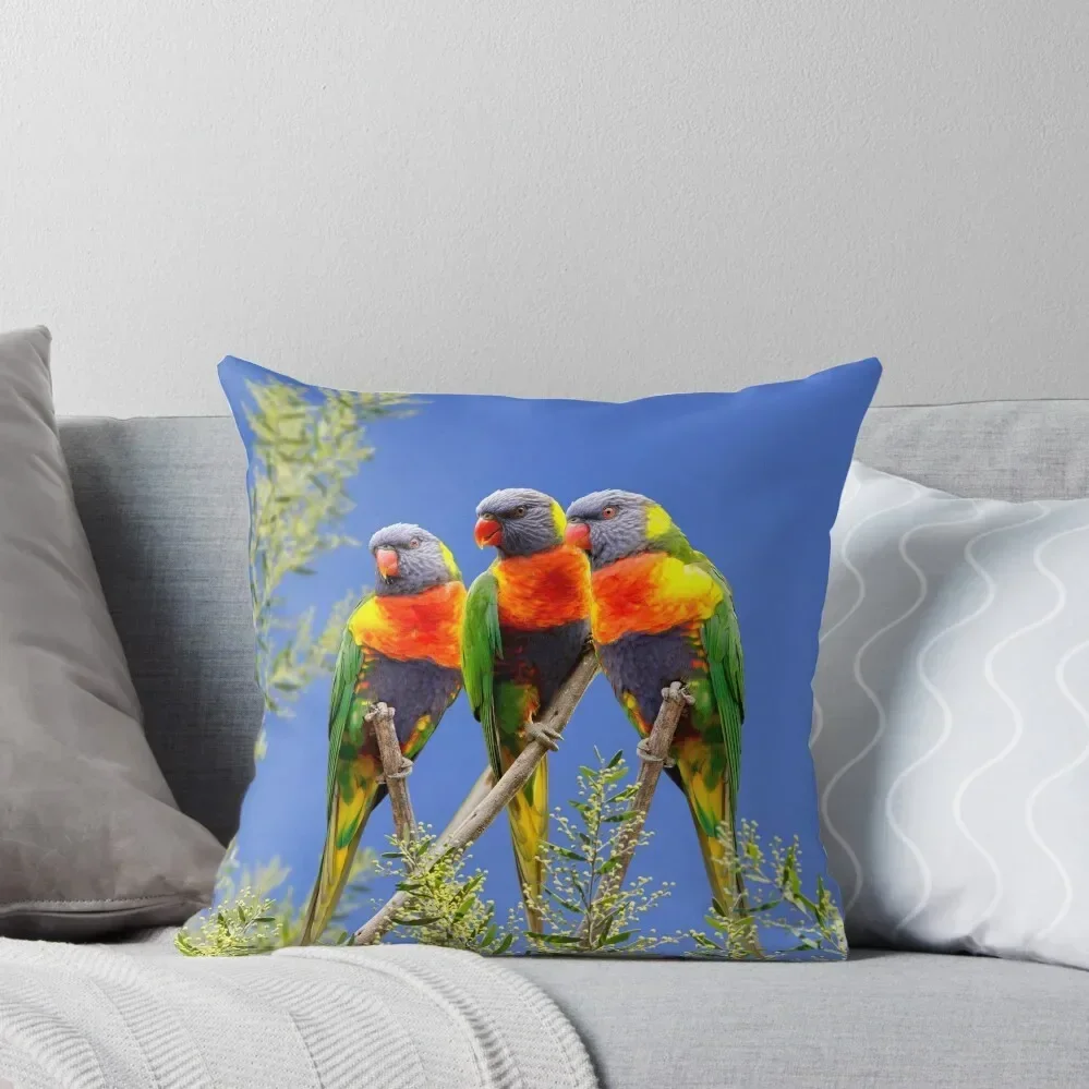 Rainbow Lorikeet Love, Australian Birds, Bright and Colorful Birds with personality and sparkle Throw Pillow