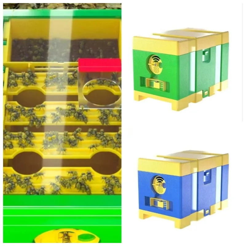 Mini Beehive Queen Bee Mating Box Beekeeper Bee Breeding Box Honeybee Breed Children's Beekeeping Tools