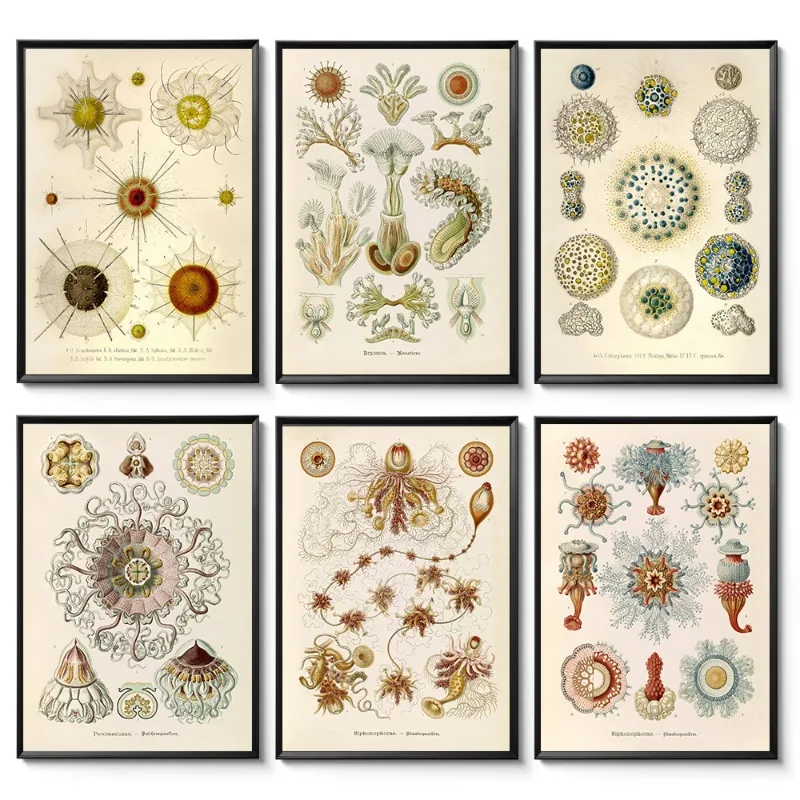 Vintage Ernst Haeck…