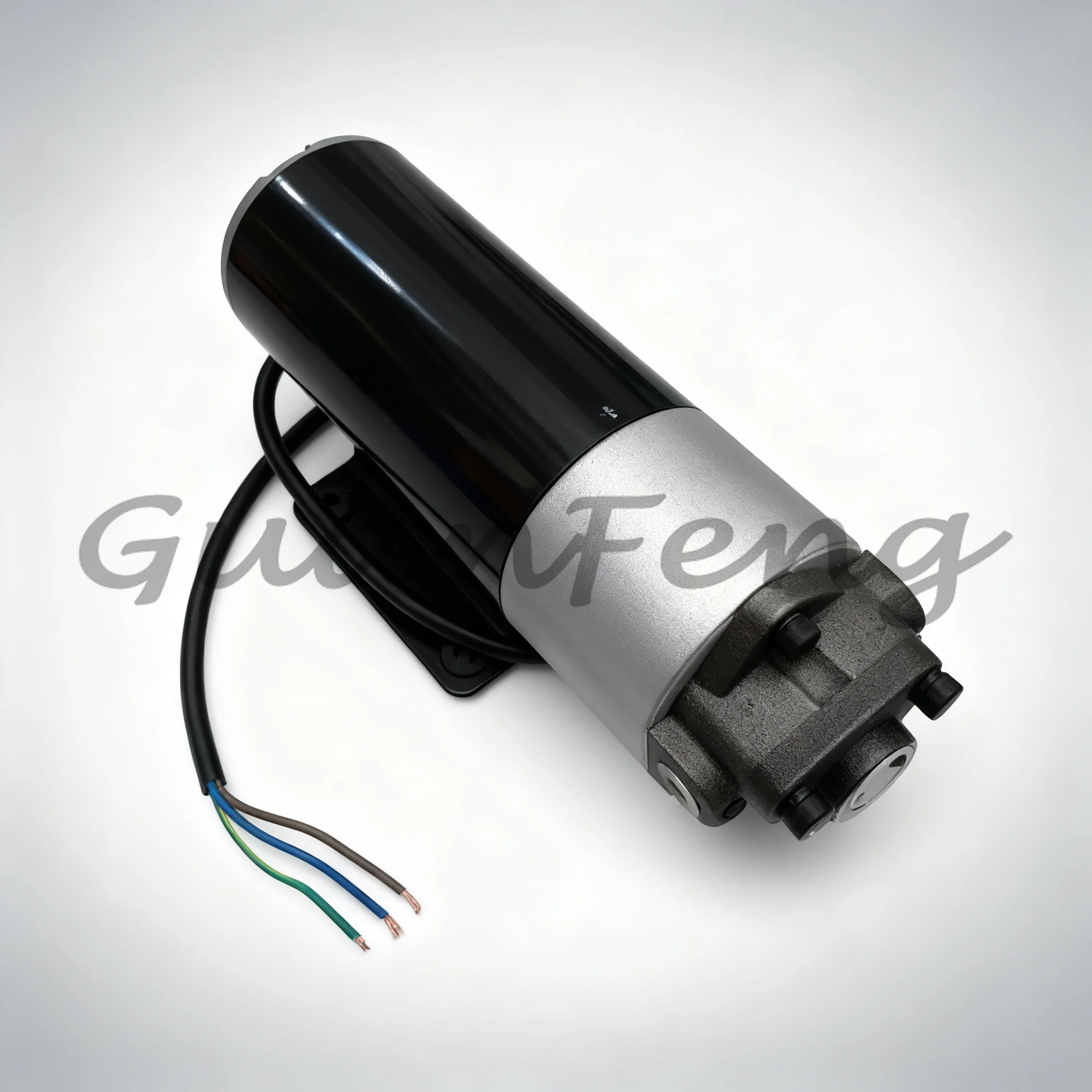 DC12V/24V AC220V Electric Hydraulic Pump, Micro Gear Oil Pump, Small DC Oil Pump for Oil Transfer & Refueling