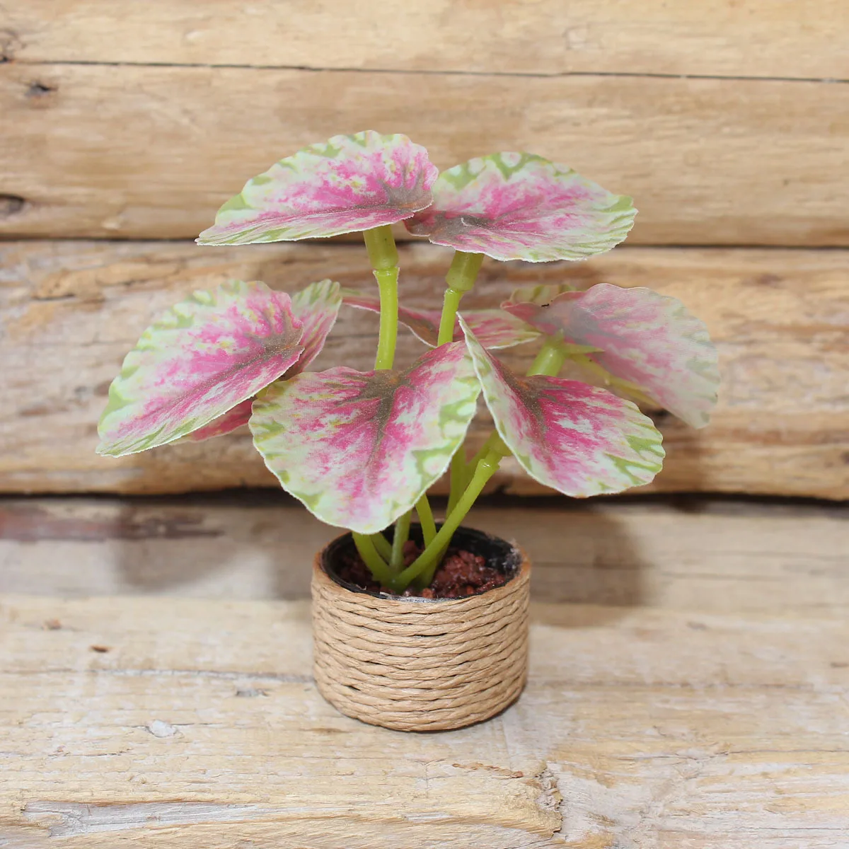 Mini Künstliche Quitte Kreative Kleine Blumentopf Pflanze Modell Miniatur Spielzeug Landschaft Puppenhaus DIY Dekorationen Puppe Zubehör