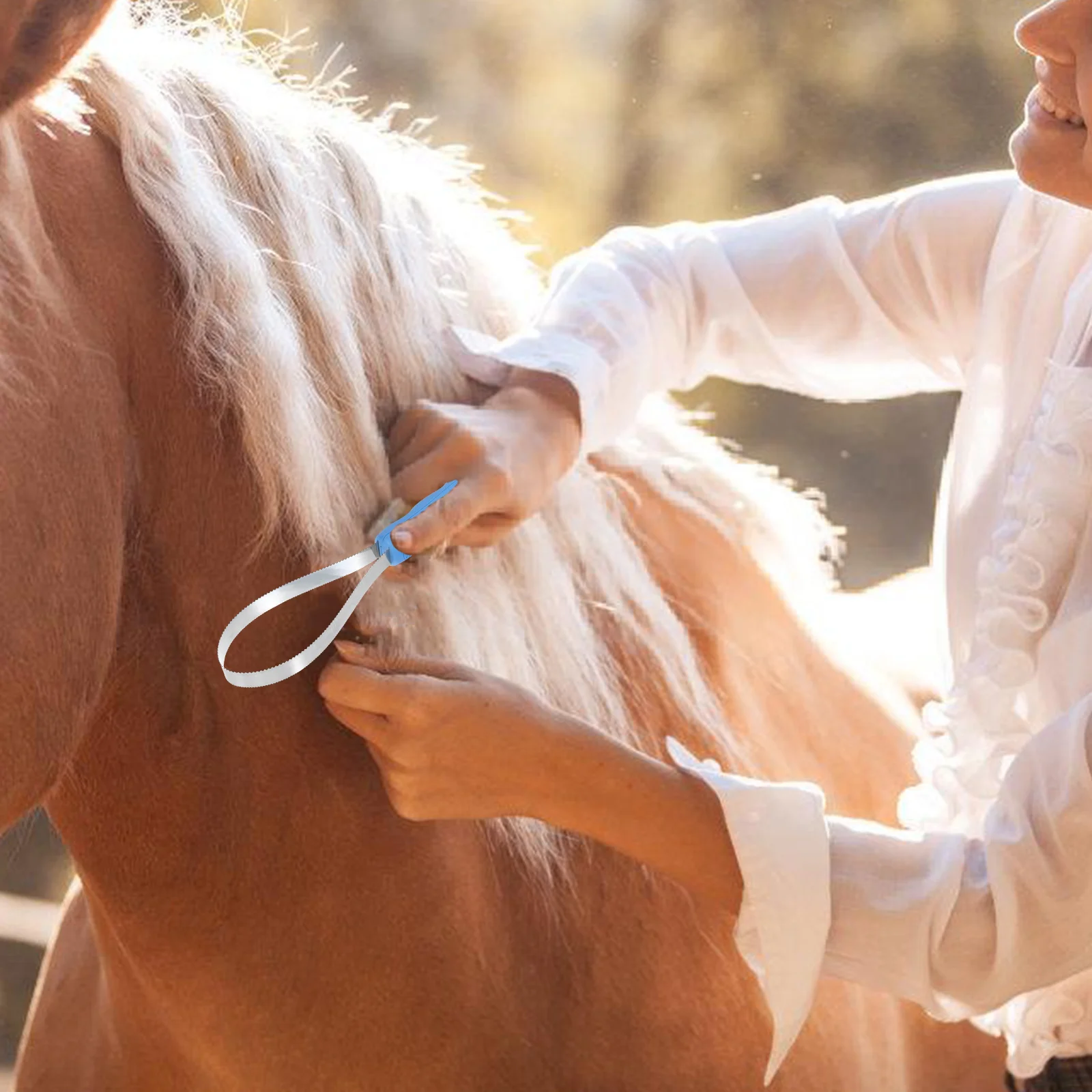 คู่มือ Scraper แปรงผมสัตว์เลี้ยงหยักปศุสัตว์หวีทําความสะอาด Shedding ใบมีดวัวสแตนเลส Horse Grooming Kit