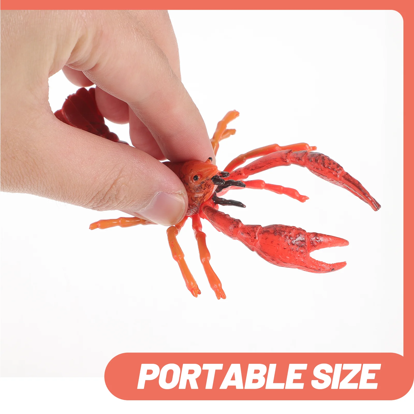 Animal Model Lobster Growing Cycle Models Life Toys Funny Educational Simulated Simulation Figurines Teaching Props