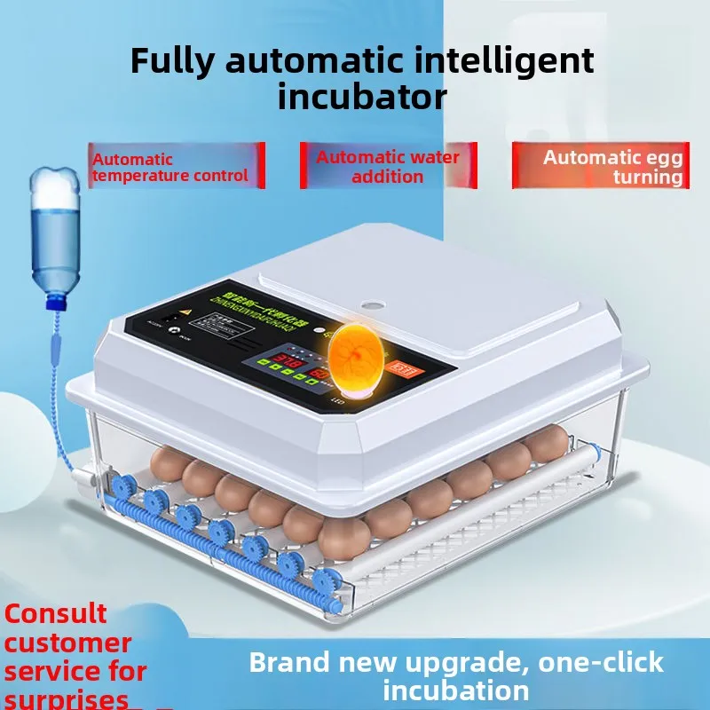 小型自動孵卵器-家庭用-卵-鶏-ミニ-卵-鶏-アヒル-ガチョウ-ハト