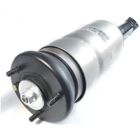 AP03 Pair Front Air Suspension Strut shock absorber RNB501250 For  LS LR4 LR3 Discovery 3  RNB501580