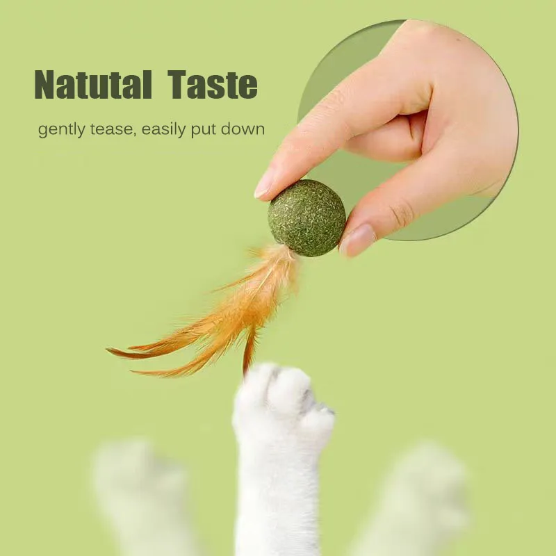 Pet Catnip Toys Cat Mint Ball Edible Catnip Ball Mouse Safety Healthy Cat Mint Cats Home Chasing Game Toy Product Clean Teeth view 3