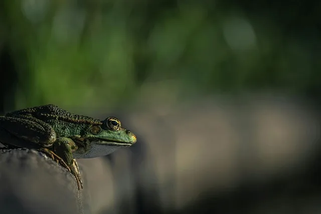 

4PCS 98MM 1.9" Super Viscosity Rubber Rock Tyres Wheel Tires with Beadlock Wheel Rim for 1:10 RC Crawler