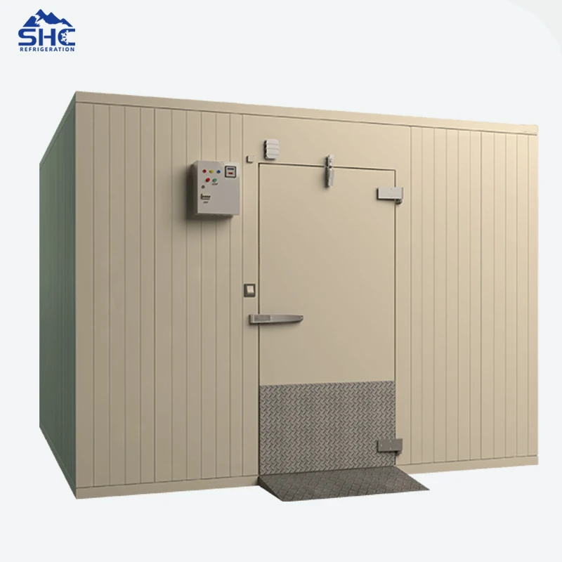 Walk in Freezer Cold Room /Cold Room Storage/Cold Storage Walk-in Cold Storage Cold Storage Project